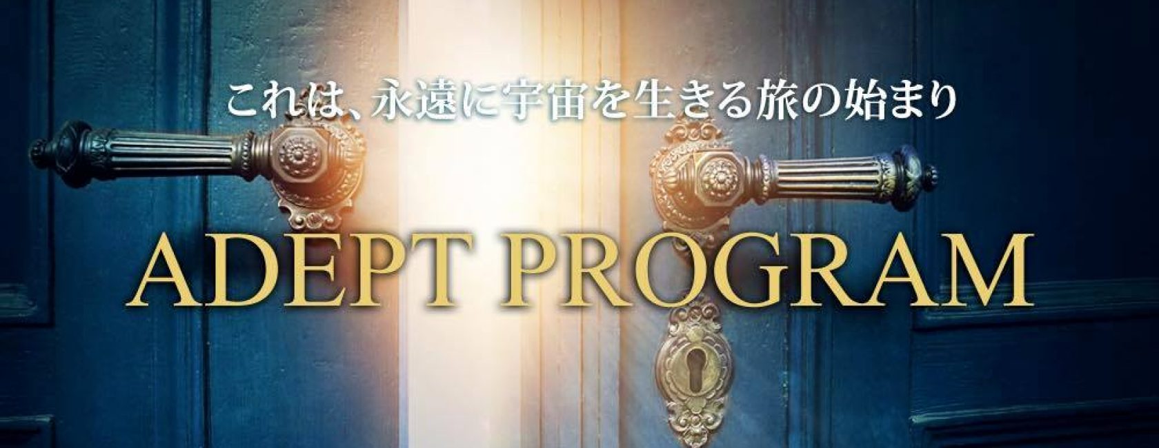 アデプトプログラム